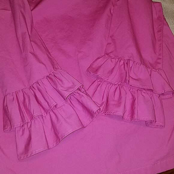 HP BEST IN TOPS,  J. Crew Double Ruffle Sleeve Top - Picture 5 of 8